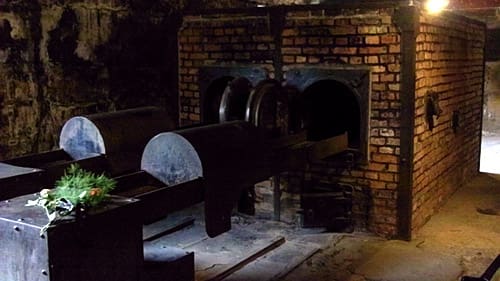 The ovens at Auschwitz